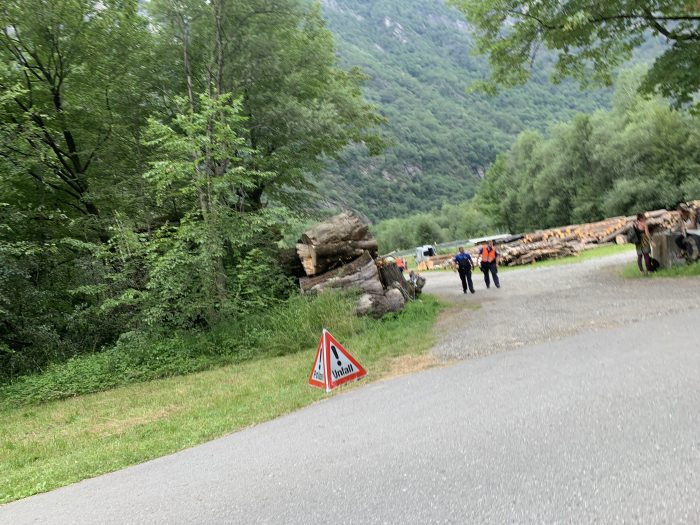 Shankra 12.-17.06.2019